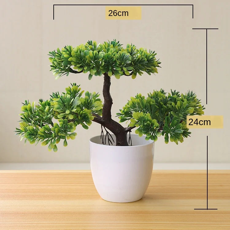 Vivolux | Kleine Baumtopf Bonsai Pflanzen