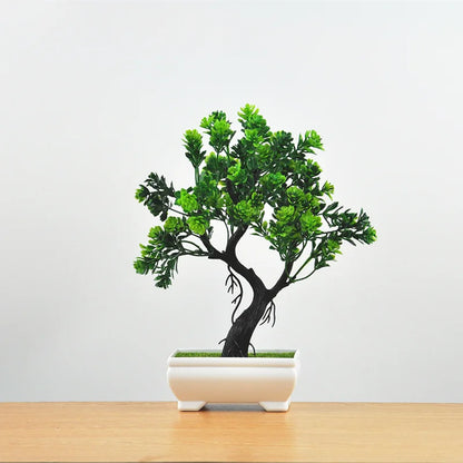 Vivolux | Kleine Baumtopf Bonsai Pflanzen