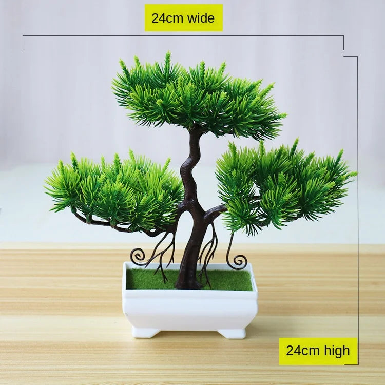 Vivolux | Kleine Baumtopf Bonsai Pflanzen