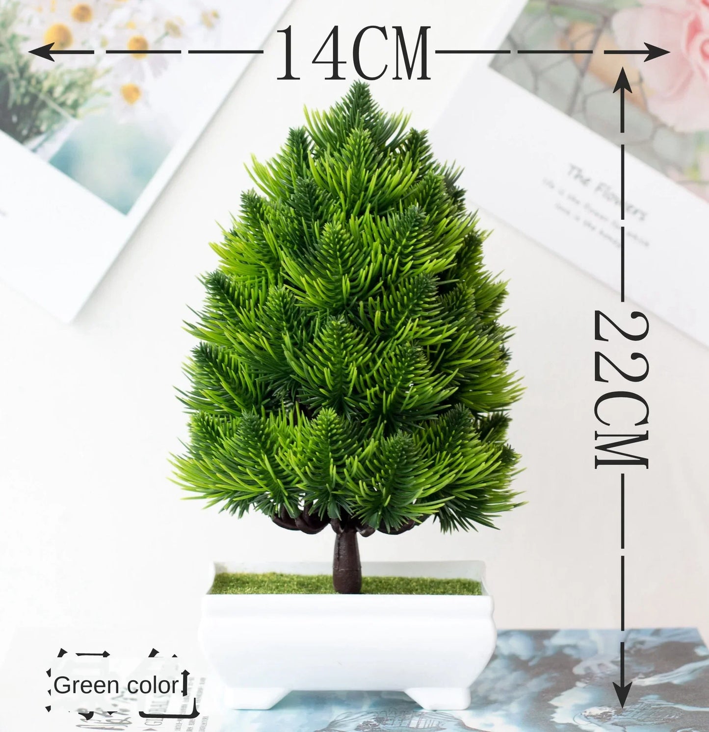 Vivolux | Kleine Baumtopf Bonsai Pflanzen