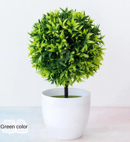 Vivolux | Kleine Baumtopf Bonsai Pflanzen