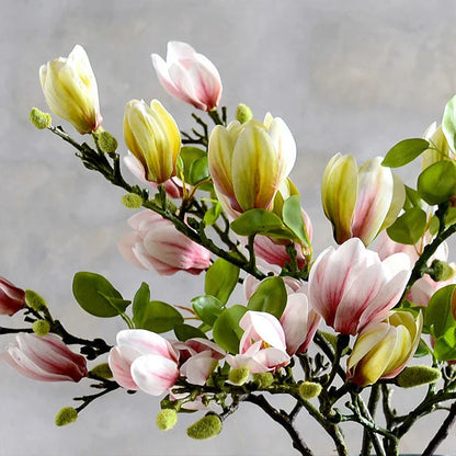 Vivolux | Lebensechte künstliche Magnolienzweige