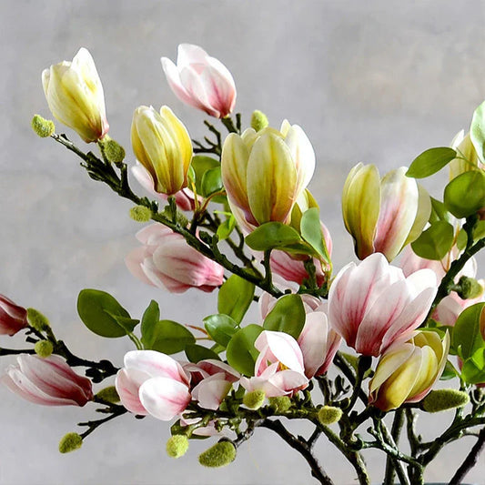 Vivolux | Lebensechte künstliche Magnolienzweige