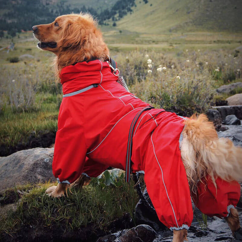 Große Hund Outdoor Jacke Wasserdicht Verstellbarer Hund Regenmantel
