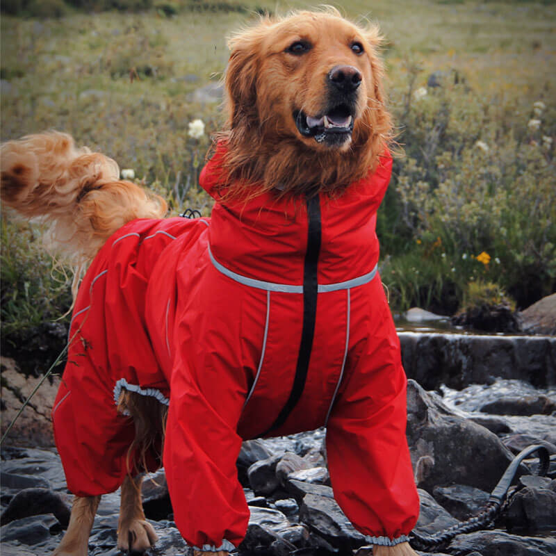 Große Hund Outdoor Jacke Wasserdicht Verstellbarer Hund Regenmantel