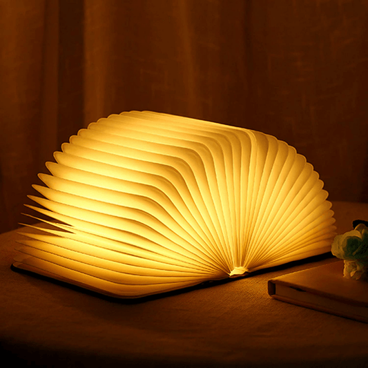 Vivolux | Frendorf Bücherlampe