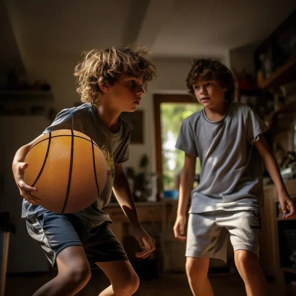 Vivolux Indoor Silent Basketball