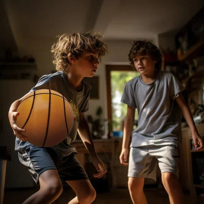 Vivolux Indoor Silent Basketball