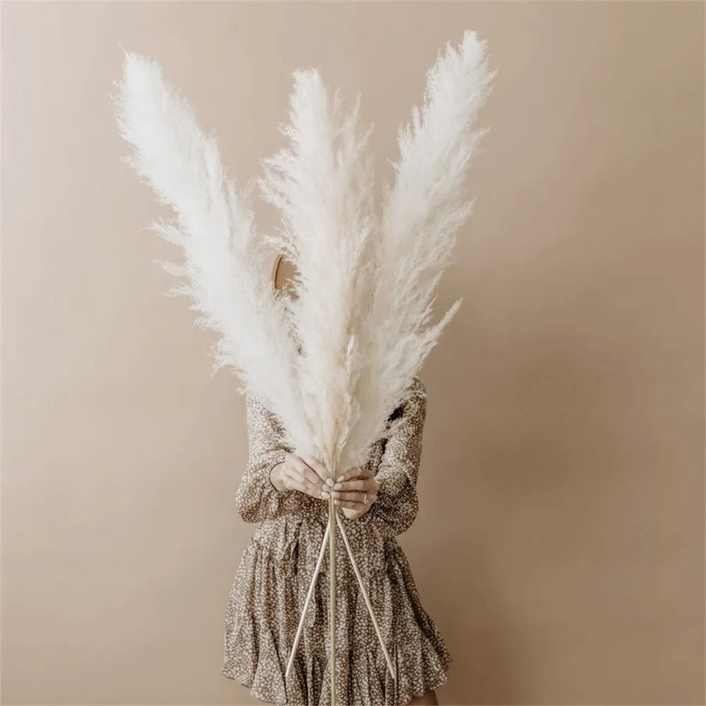 Vivolux | FeatherFawn - Pampas Getrocknete Blumen