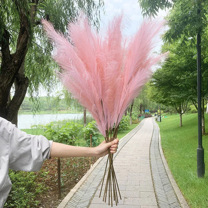 Vivolux | 5 Stück 100 cm Künstliches Pampasgras Trockenrohr Blumenstrauß Hochzeitsfeier Dekoration Zuhause Raum DIY Künstliche Pflanzen Dekorationsbedarf