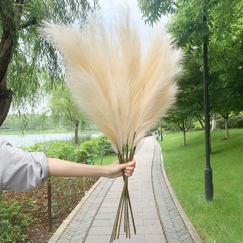 Vivolux | 5 Stück 100 cm Künstliches Pampasgras Trockenrohr Blumenstrauß Hochzeitsfeier Dekoration Zuhause Raum DIY Künstliche Pflanzen Dekorationsbedarf