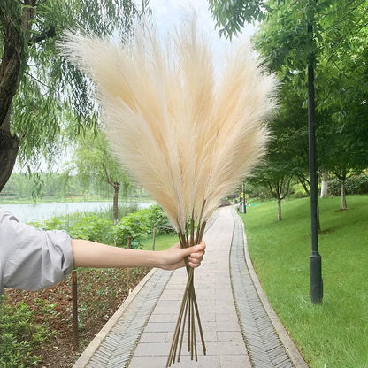 Vivolux | 5 Stück 100 cm Künstliches Pampasgras Trockenrohr Blumenstrauß Hochzeitsfeier Dekoration Zuhause Raum DIY Künstliche Pflanzen Dekorationsbedarf