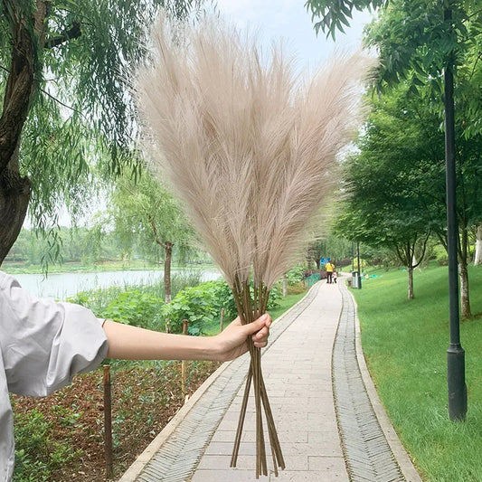 Vivolux | 5 Stück 100 cm Künstliches Pampasgras Trockenrohr Blumenstrauß Hochzeitsfeier Dekoration Zuhause Raum DIY Künstliche Pflanzen Dekorationsbedarf