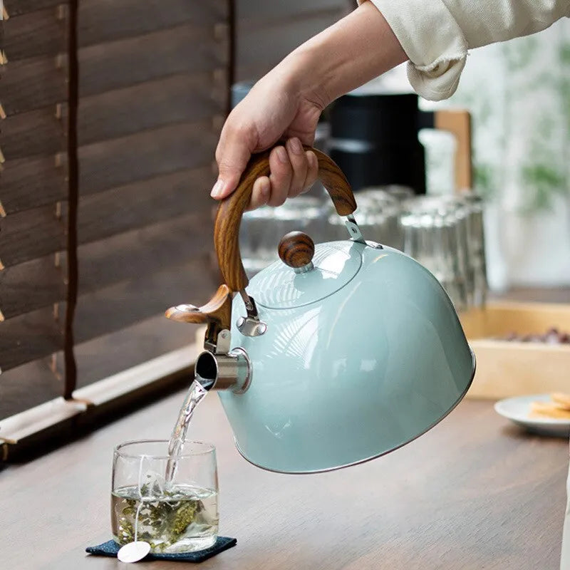Vivolux | 1 Stück 2,5/3 l Liter Kessel aus Edelstahl, verdickter Wasserkocher, Gas-Induktionsherd, universeller Wasserkocher, Kessel