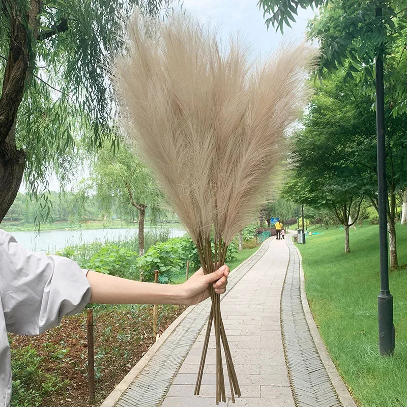 Vivolux | 5 Stück 100 cm Künstliches Pampasgras Trockenrohr Blumenstrauß Hochzeitsfeier Dekoration Zuhause Raum DIY Künstliche Pflanzen Dekorationsbedarf