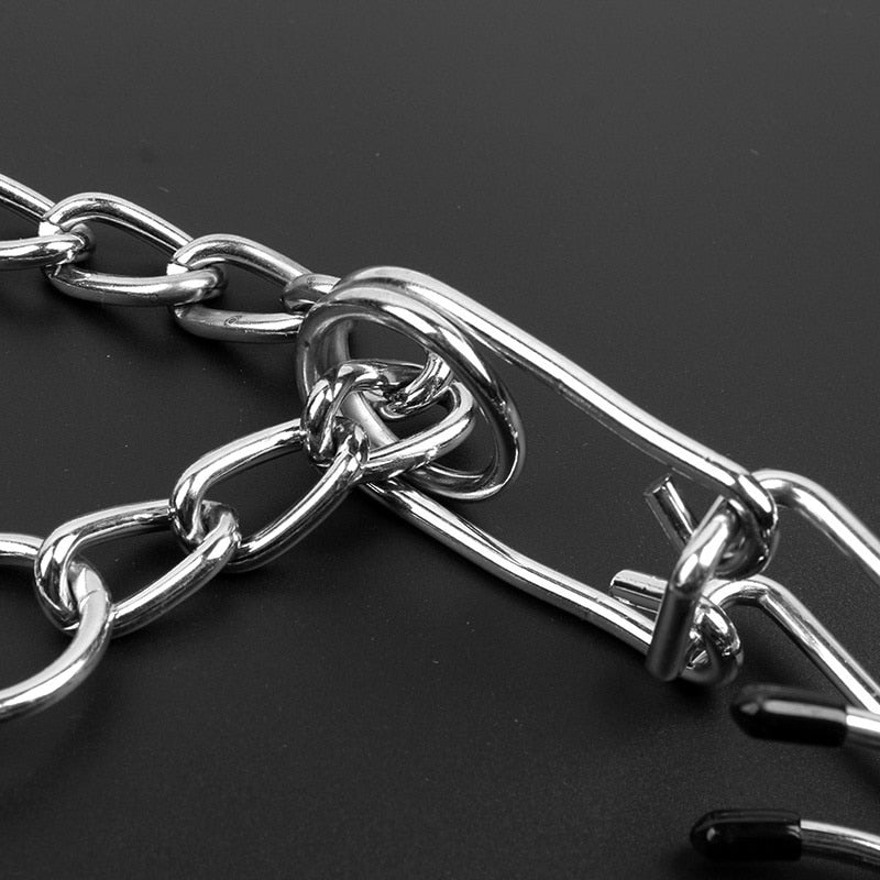 Hund Pincher Halsband - Stil B