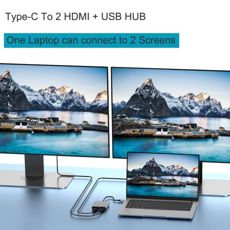 Vivolux | 4 in 1 Type-C zu Dual HDMI + USB + Type-C HUB Adapter