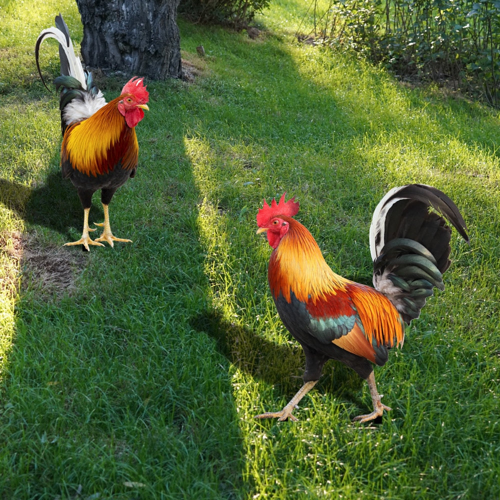 Vivolux | Gartenfigur: Gefiederte Schönheit