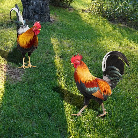 Vivolux | Gartenfigur: Gefiederte Schönheit