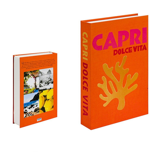 Vivolux | Dekorationsbücher Verschönern Sie Ihr Wohnzimmer mit diesen fröhlichen Deko - CozyBooks