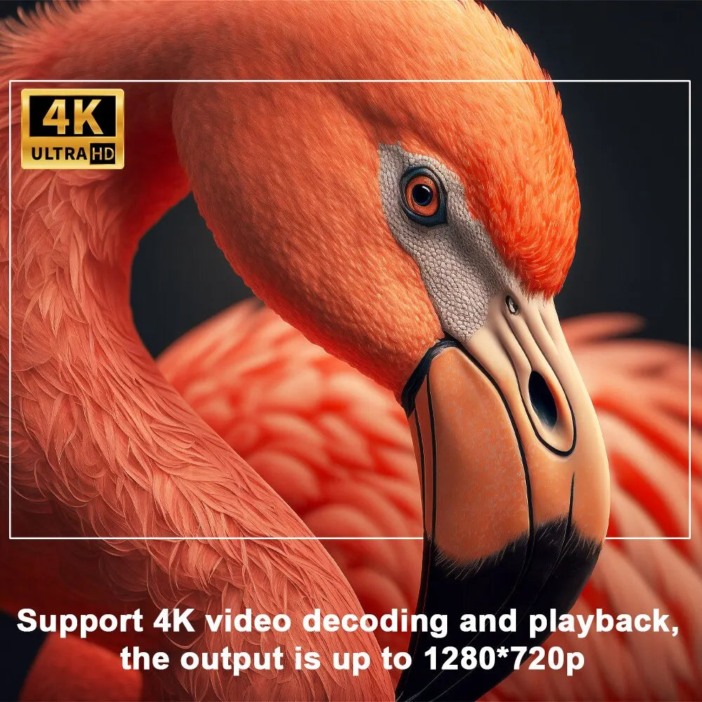 Vivolux | – 4K Android Projector Pro