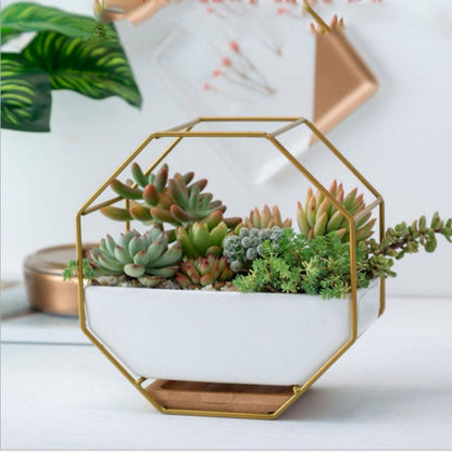 Vivolux | Einfache oktagonale geometrische Wandhängende Tabelle Sukkulent Platte Bambus Unterstützung Eisenrahmen Blumentopf (Gold)