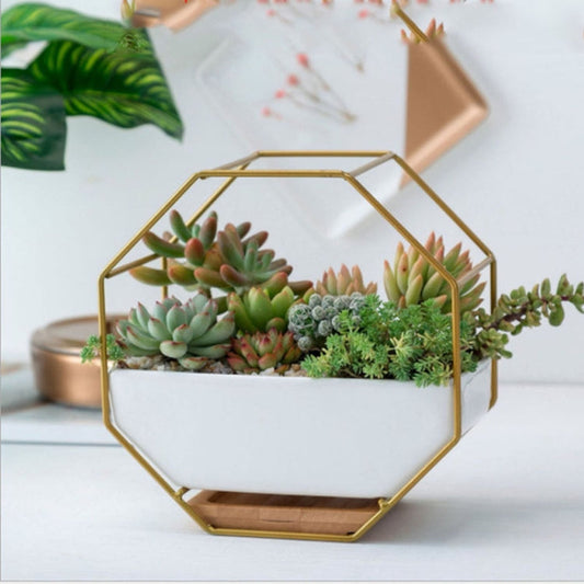 Vivolux | Einfache oktagonale geometrische Wandhängende Tabelle Sukkulent Platte Bambus Unterstützung Eisenrahmen Blumentopf (Gold)