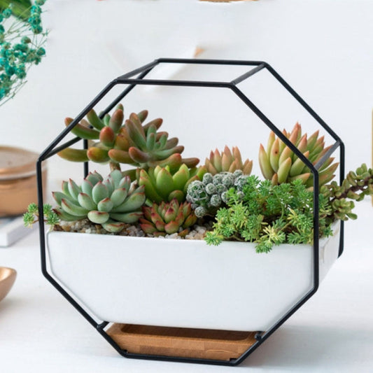 Vivolux | Einfaches octagonales geometrisches Wandhängen Tisch Sukkulenten Platauf bamboo Unterstützung Eisenrahmen Blumentopf (schwarz)