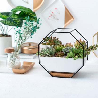 Vivolux | Einfaches octagonales geometrisches Wandhängen Tisch Sukkulenten Platauf bamboo Unterstützung Eisenrahmen Blumentopf (schwarz)