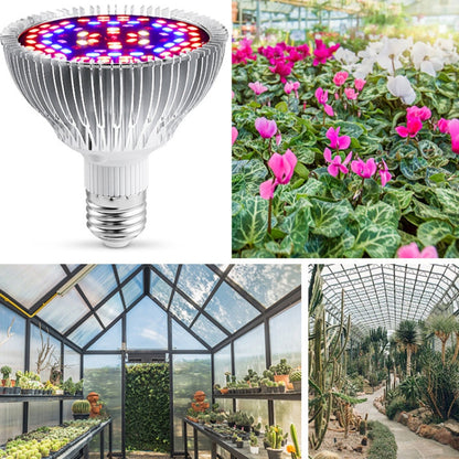 Vivolux | LED Pflanzenwachstumslampe Vollspektrum E27 Pflanzenfülllicht, Leistung: 30W 40 Lampenperlen