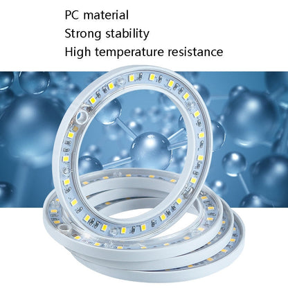 Vivolux | LED Pflanzenwachstumslampe Vollspektrale intelligente Zeitschaltuhr Innenfülllicht Ring Pflanzenlampe, Leistung: Ein Kopf(Sonnenschein)