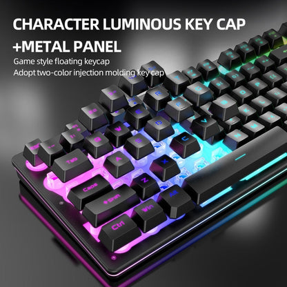Vivolux | Angriffshaifisch T3RGB RGB Leuchtende Kabellose Tastatur und Maus Set (Schwarz)