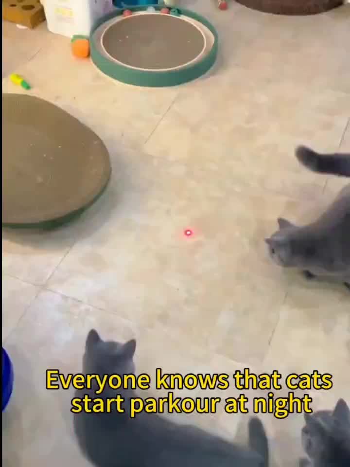 Vivolux | Katzenlaser Spielzeug Wiederaufladbar Interaktives Haustier Spielzeug