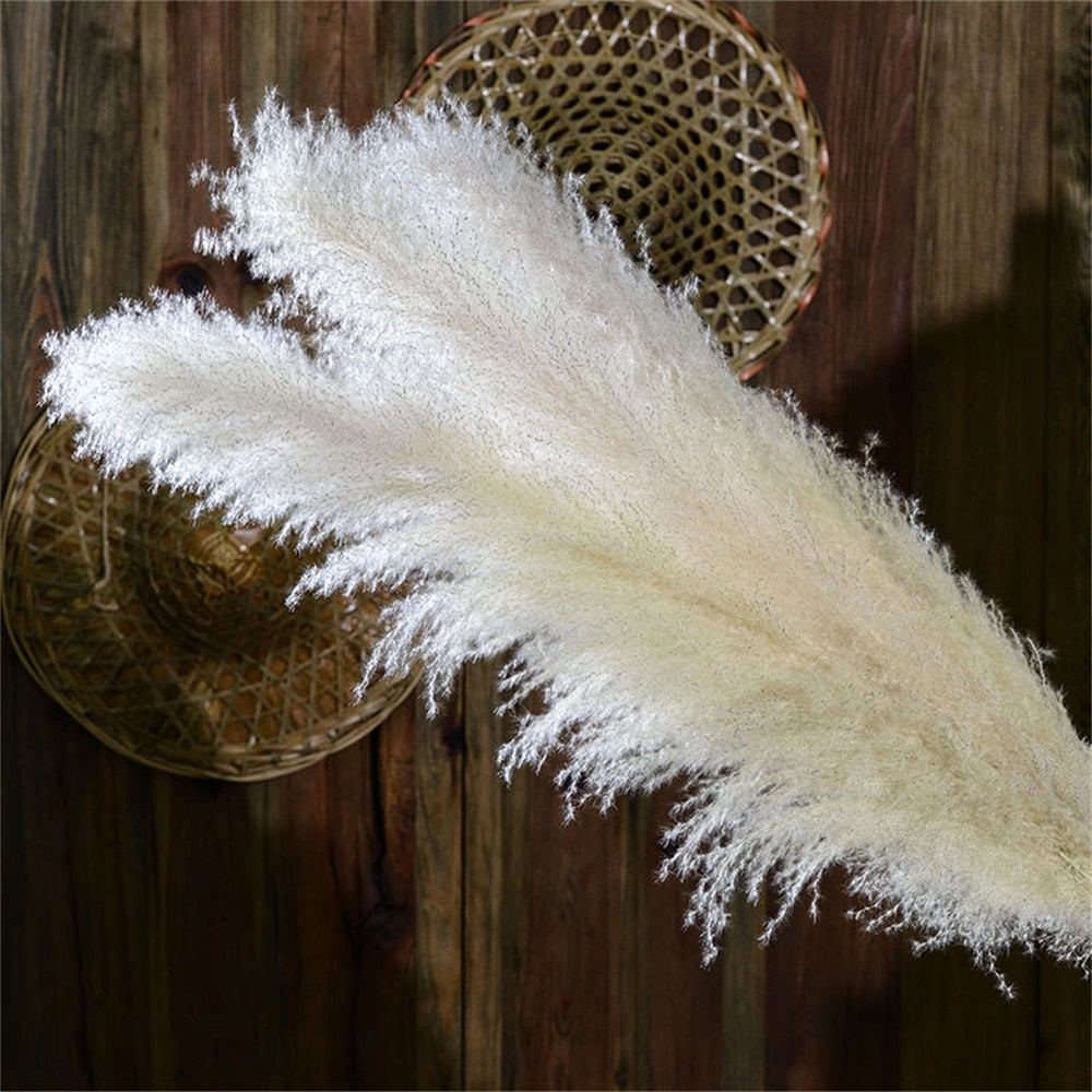 Vivolux | FeatherFawn - Pampas Getrocknete Blumen