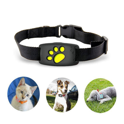 Vivolux | Schlankes GPS Katzenhalsband