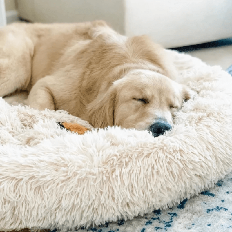 Vivolux | Runder Plüsch Beruhigender Donut Hundebett für kleine bis große Hunde