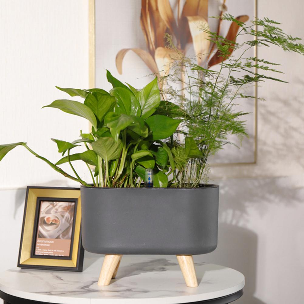 Vivolux | Selbstbewässernde Blume Po