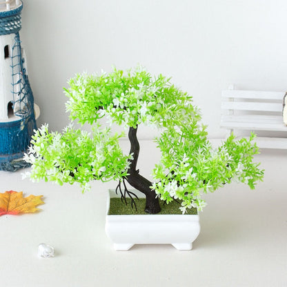 Vivolux | Pflanzen Bonsai