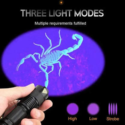 Vivolux | LED UV-Zaklamp - Ultraviolette Inspektionslampe für Haustierurin und Fleckenerkennung