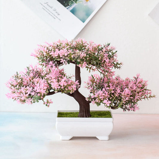 Vivolux | Pflanzen Bonsai