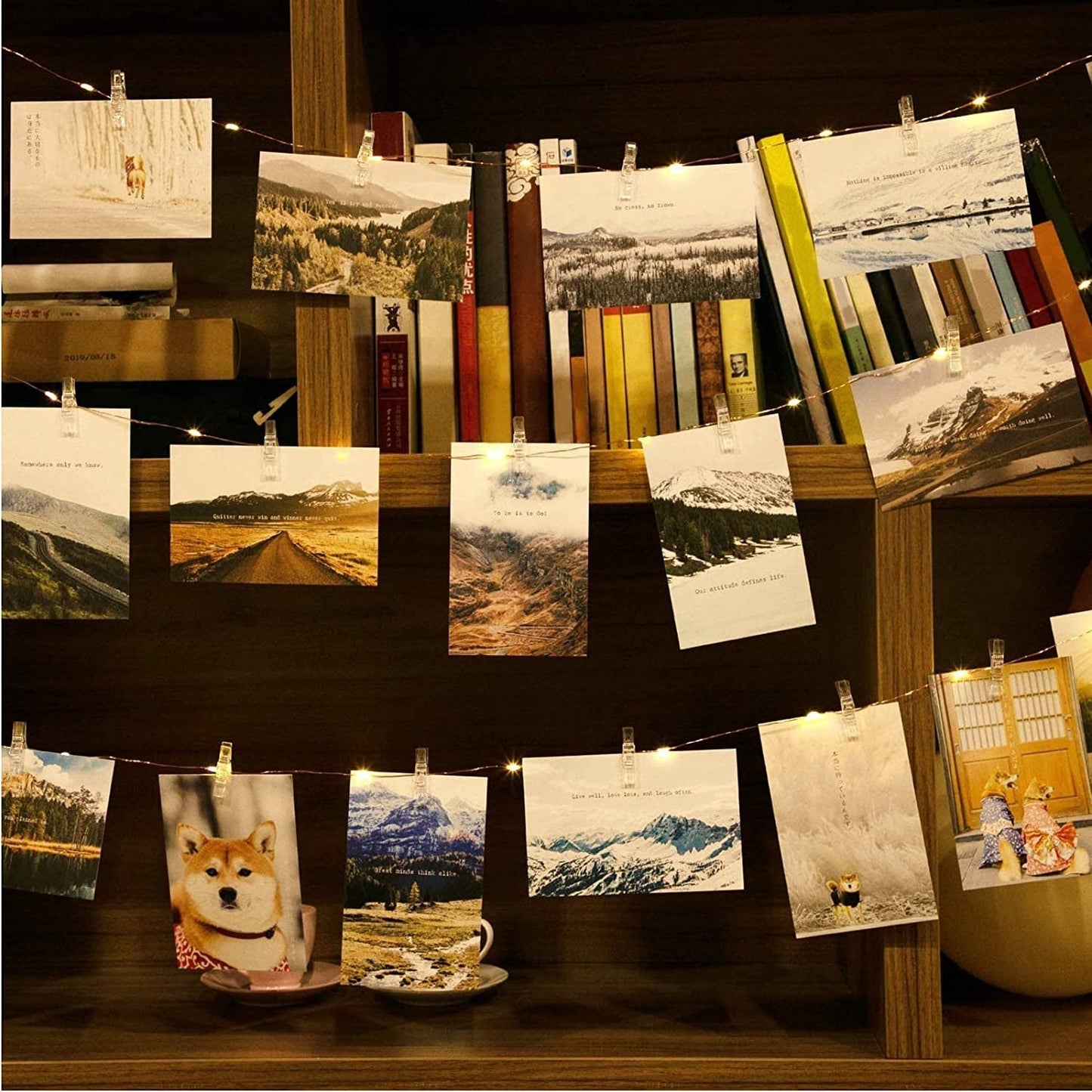 Vivolux | Feen Clip Lichter