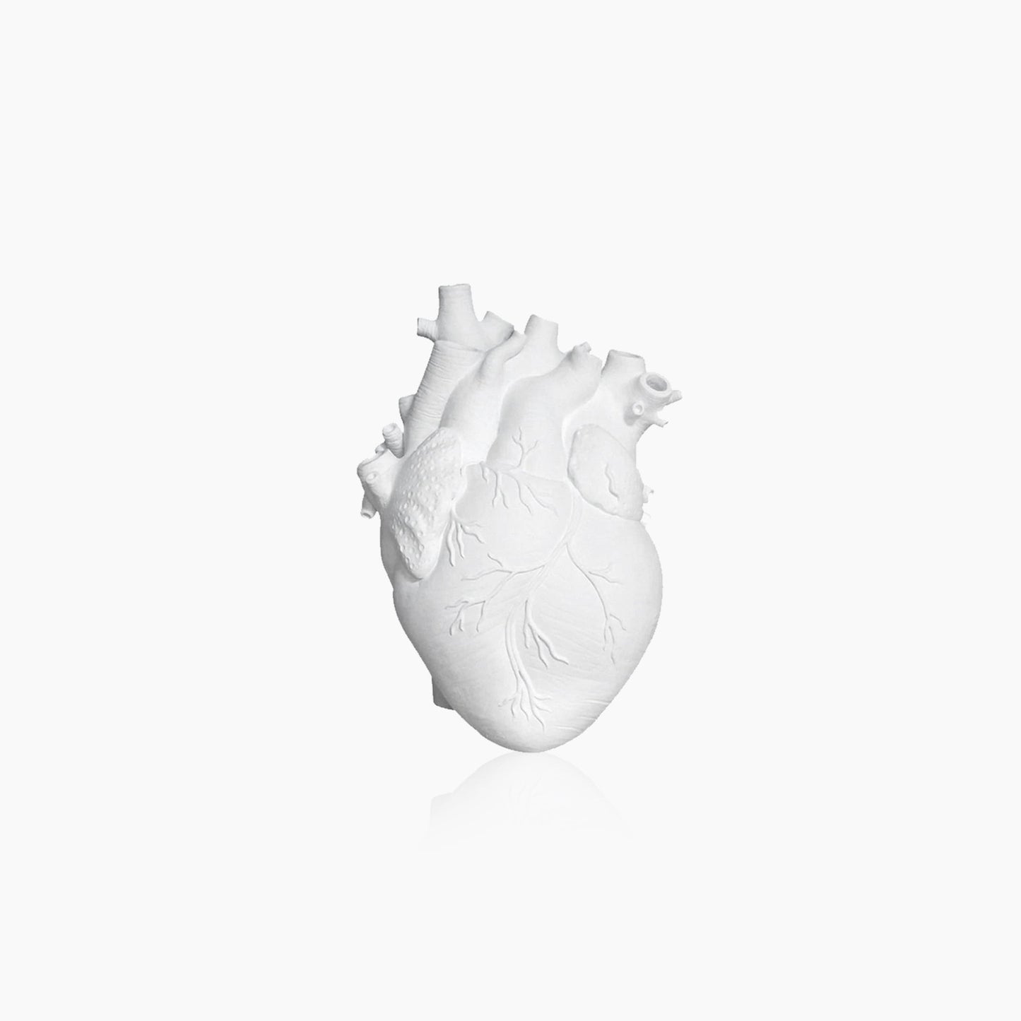 Vivolux | Herz Trocken Pflanzen Kunst Vase