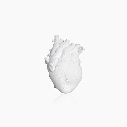 Vivolux | Herz Trocken Pflanzen Kunst Vase