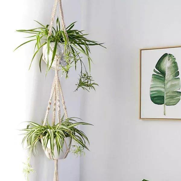 Vivolux | 4-teiliges handgefertigtes Boho-Makramee-Pflanzenhänger-Set