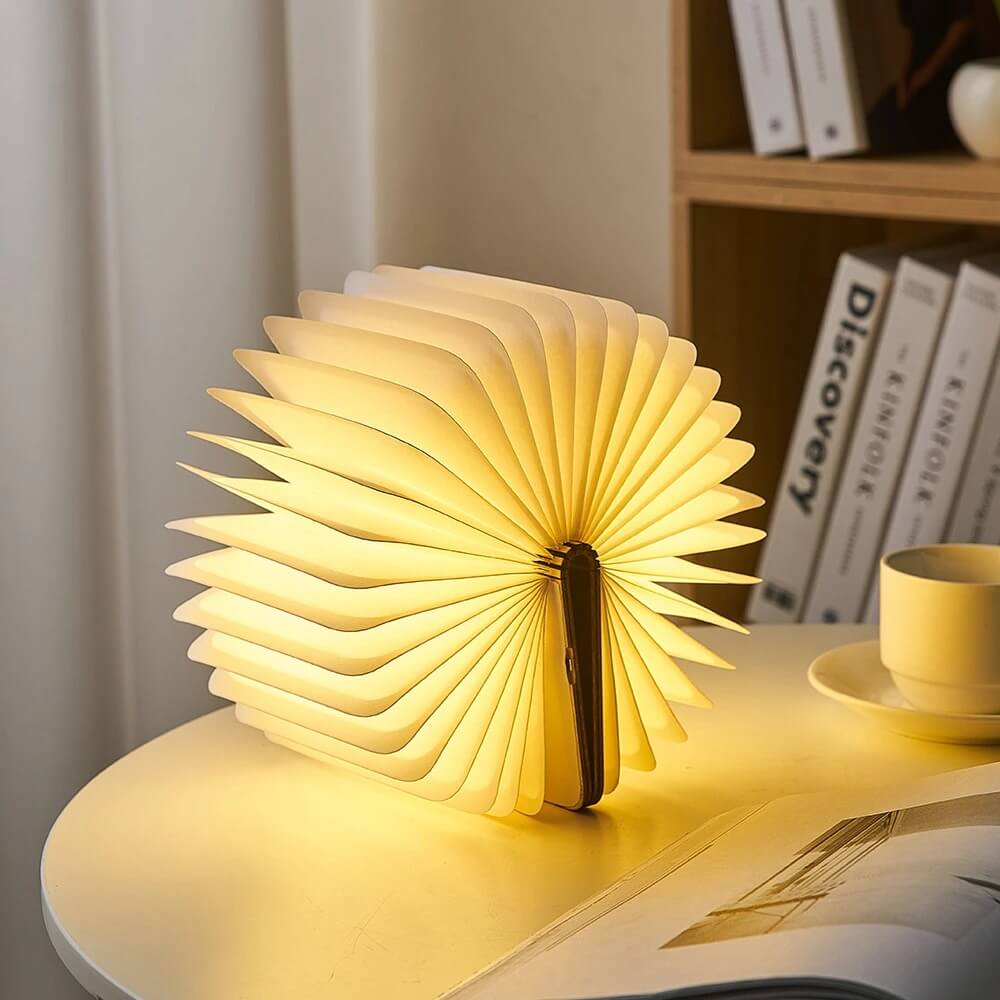 Vivolux | LED Buch Tischlampe