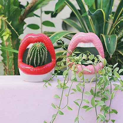 Vivolux | Lips Blumen Topf