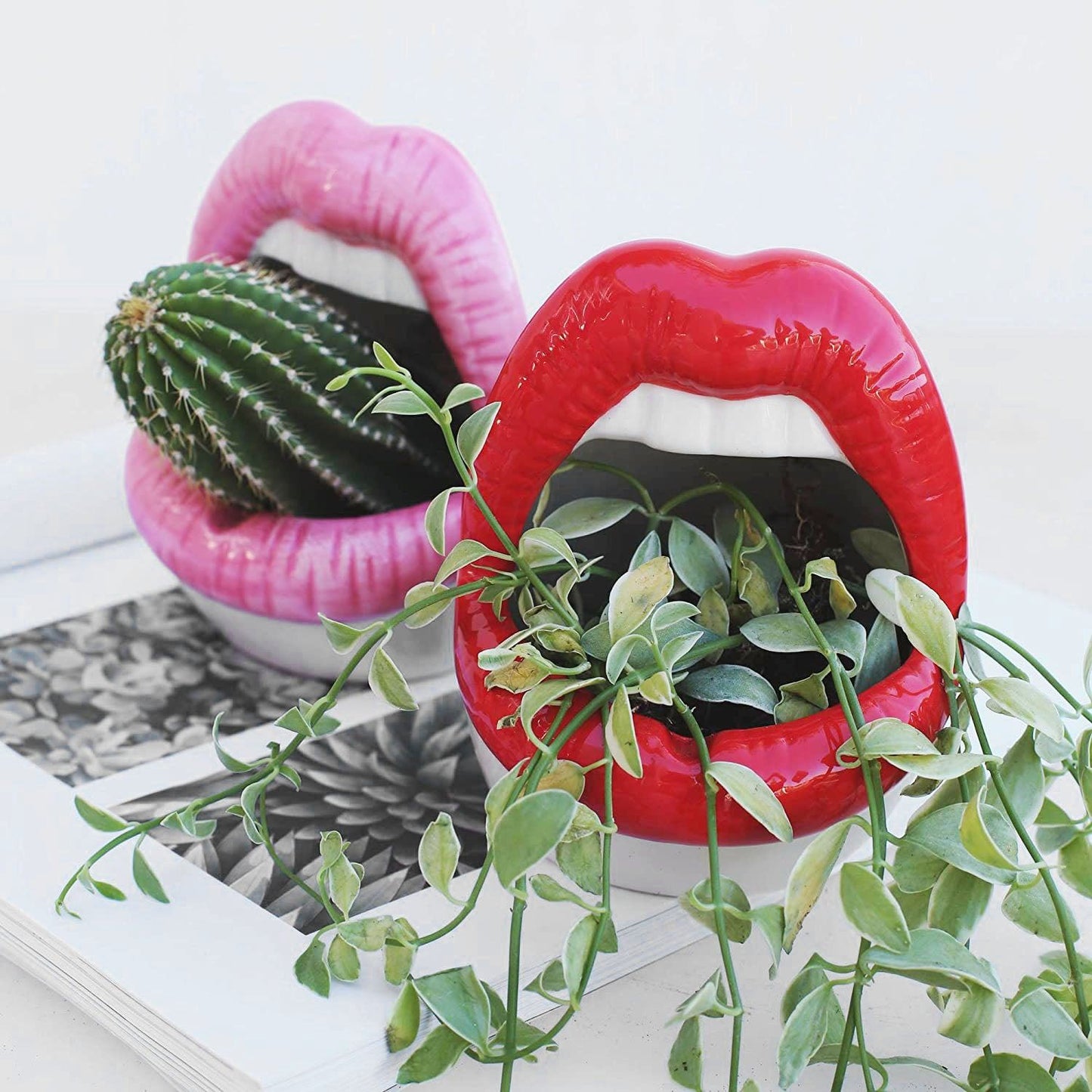 Vivolux | Lips Blumen Topf