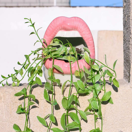 Vivolux | Lips Blumen Topf