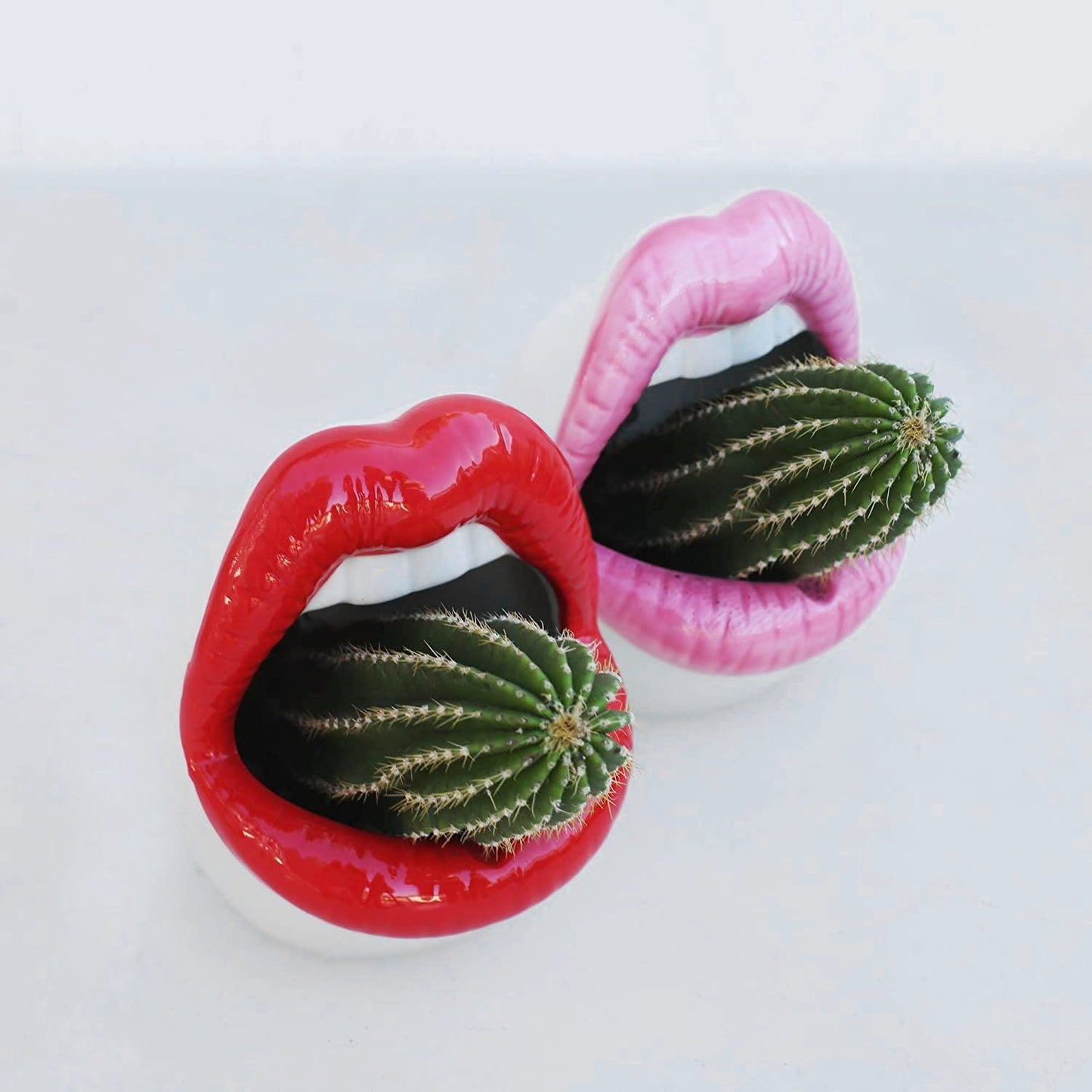 Vivolux | Lips Blumen Topf