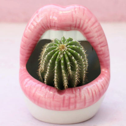 Vivolux | Lips Blumen Topf